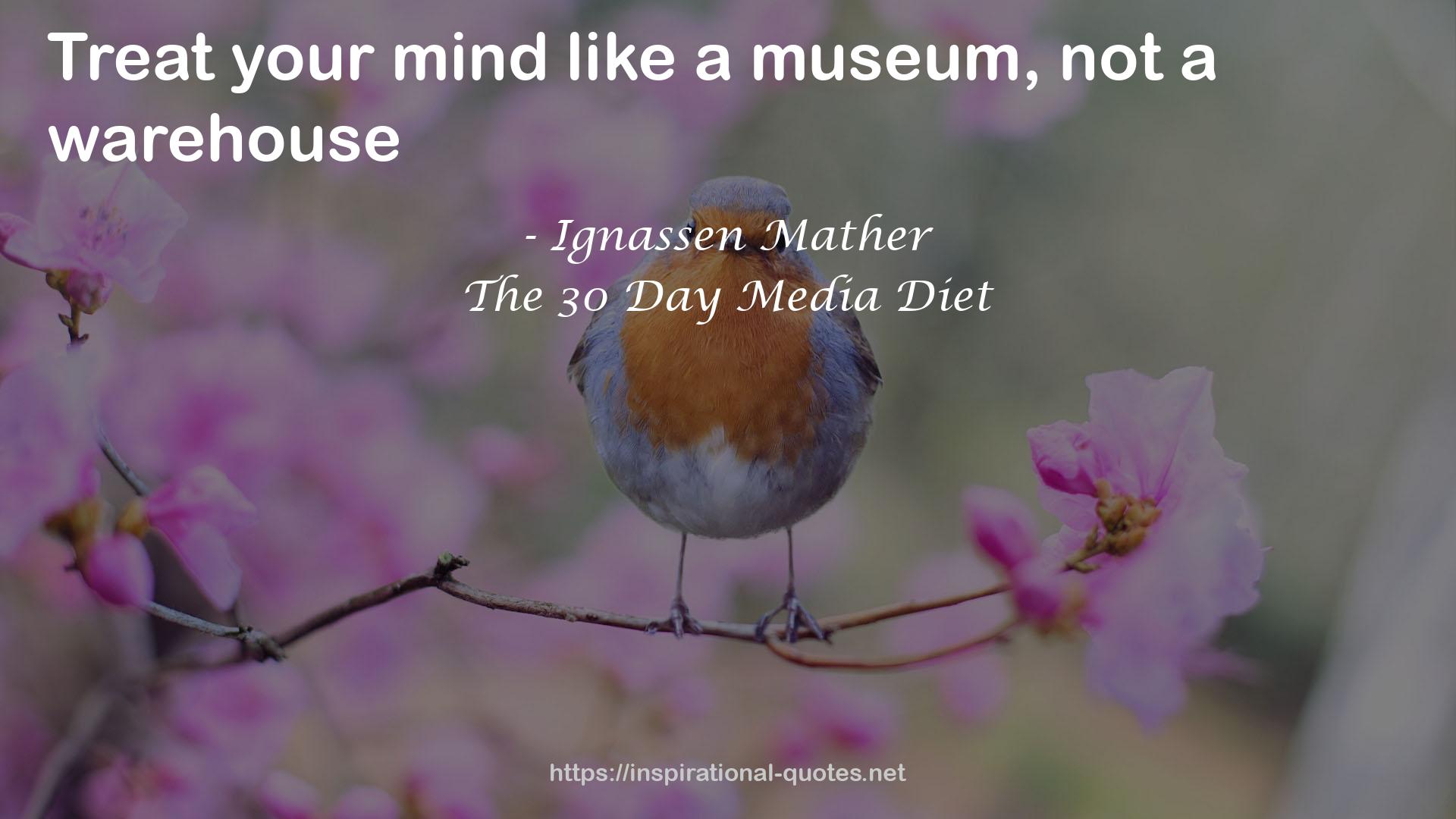 The 30 Day Media Diet QUOTES