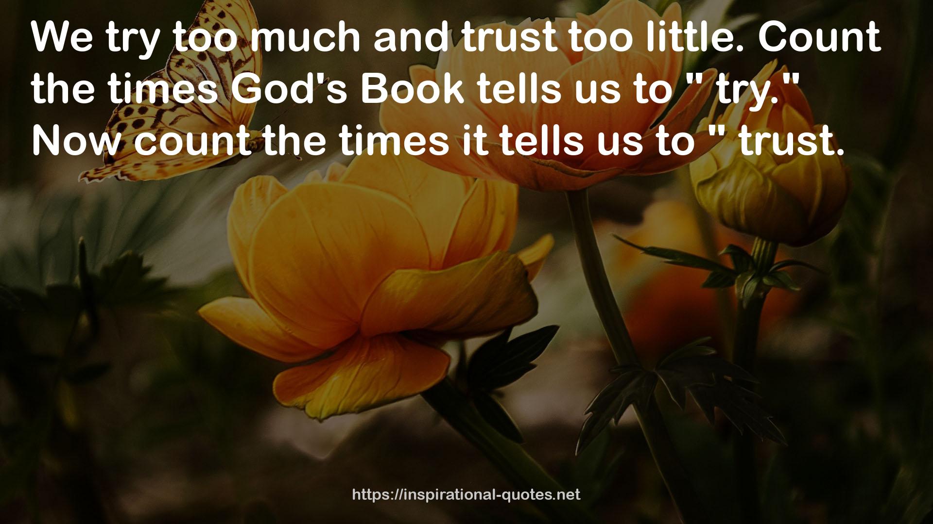 God's Book  QUOTES