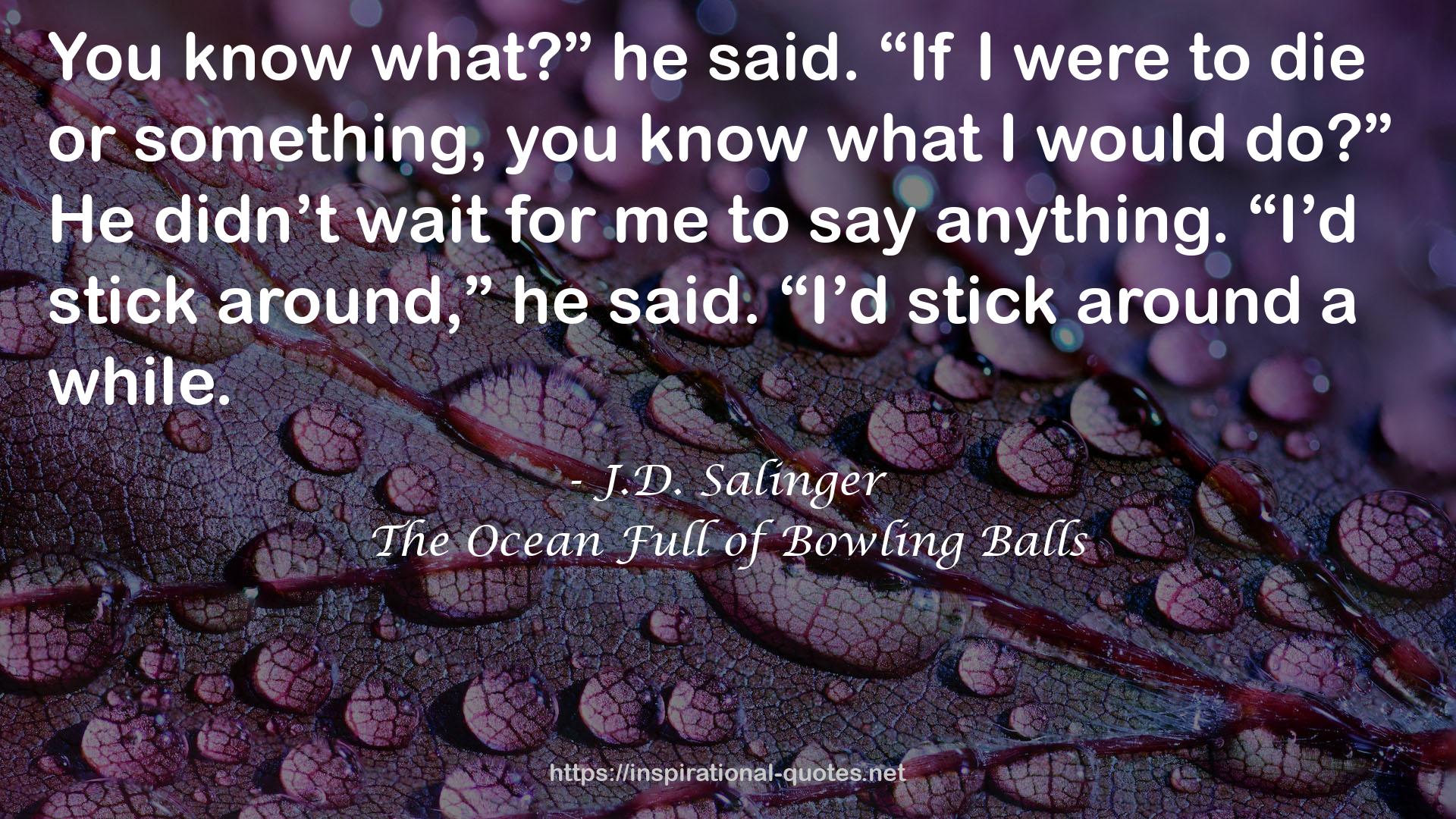 The Ocean Full of Bowling Balls QUOTES