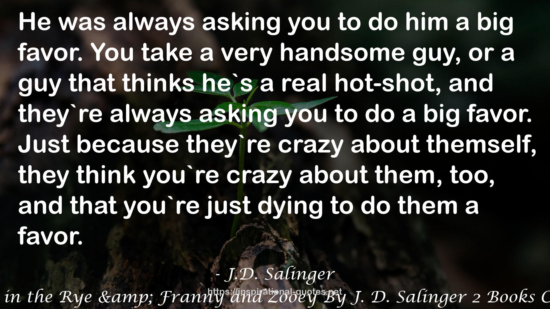 The Catcher in the Rye & Franny and Zooey By J. D. Salinger 2 Books Collection Set QUOTES