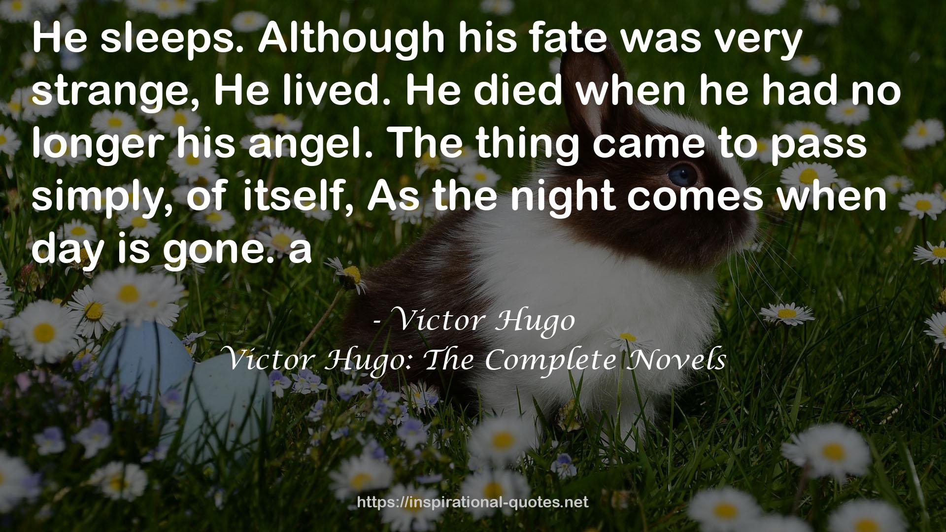Victor Hugo: The Complete Novels QUOTES