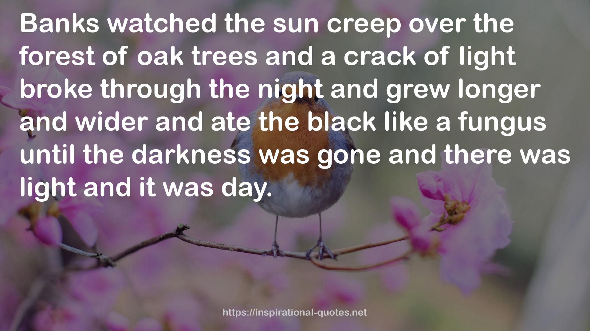 oak trees  QUOTES