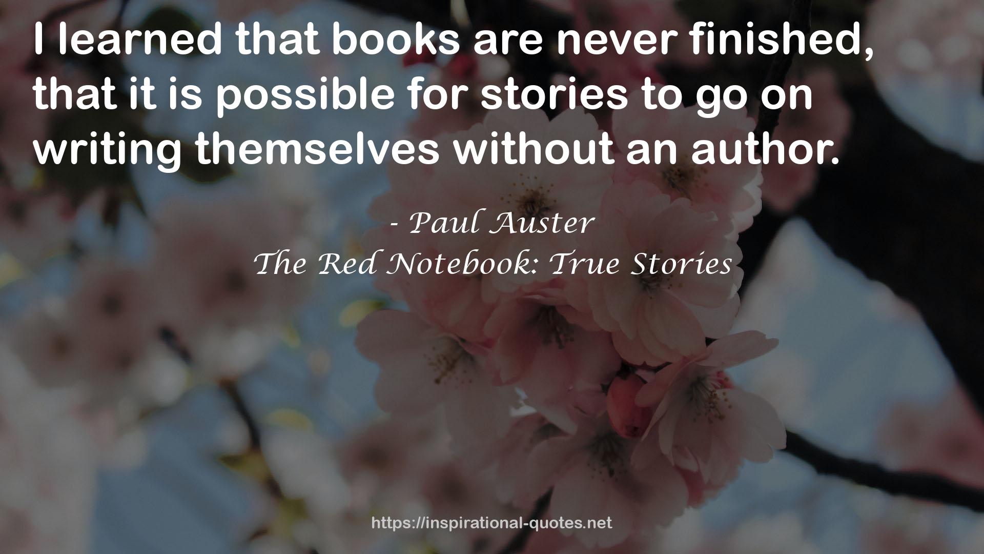 The Red Notebook: True Stories QUOTES