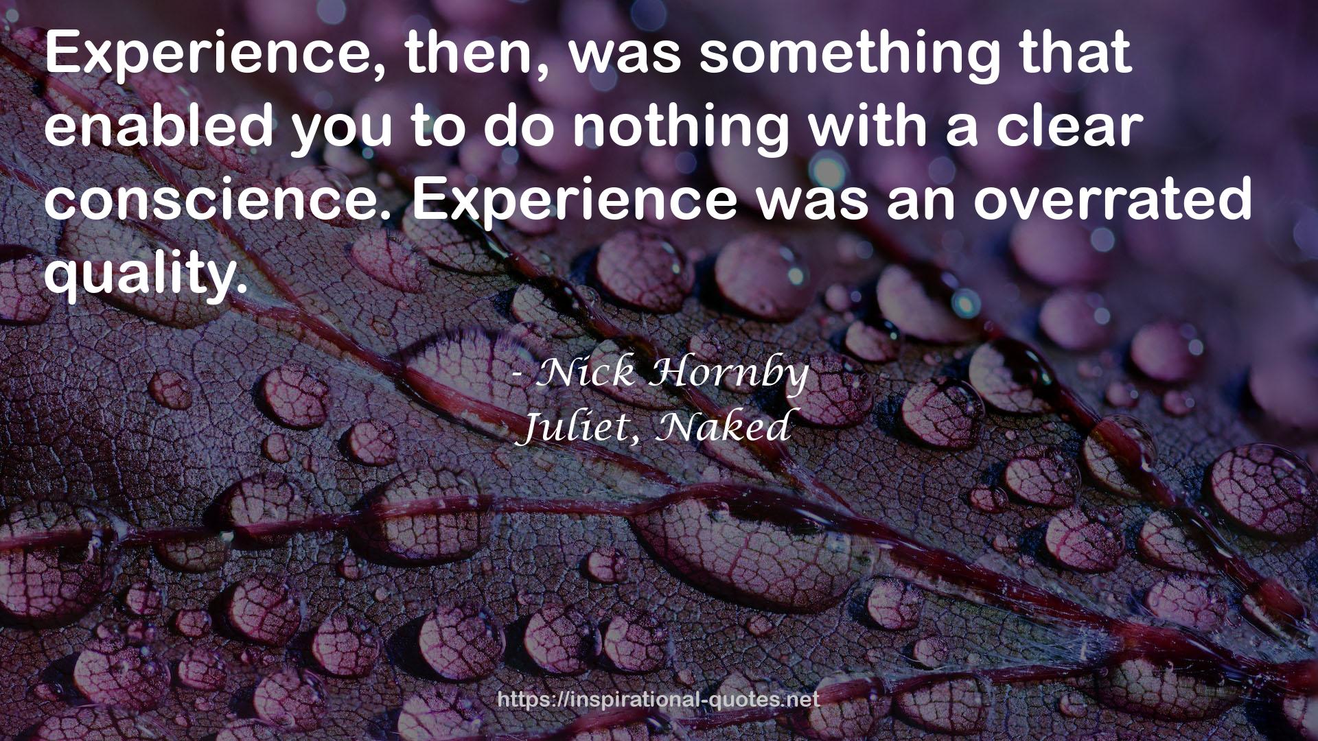 Nick Hornby QUOTES