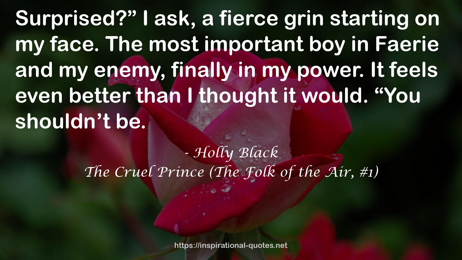 The Cruel Prince (The Folk of the Air, #1) QUOTES