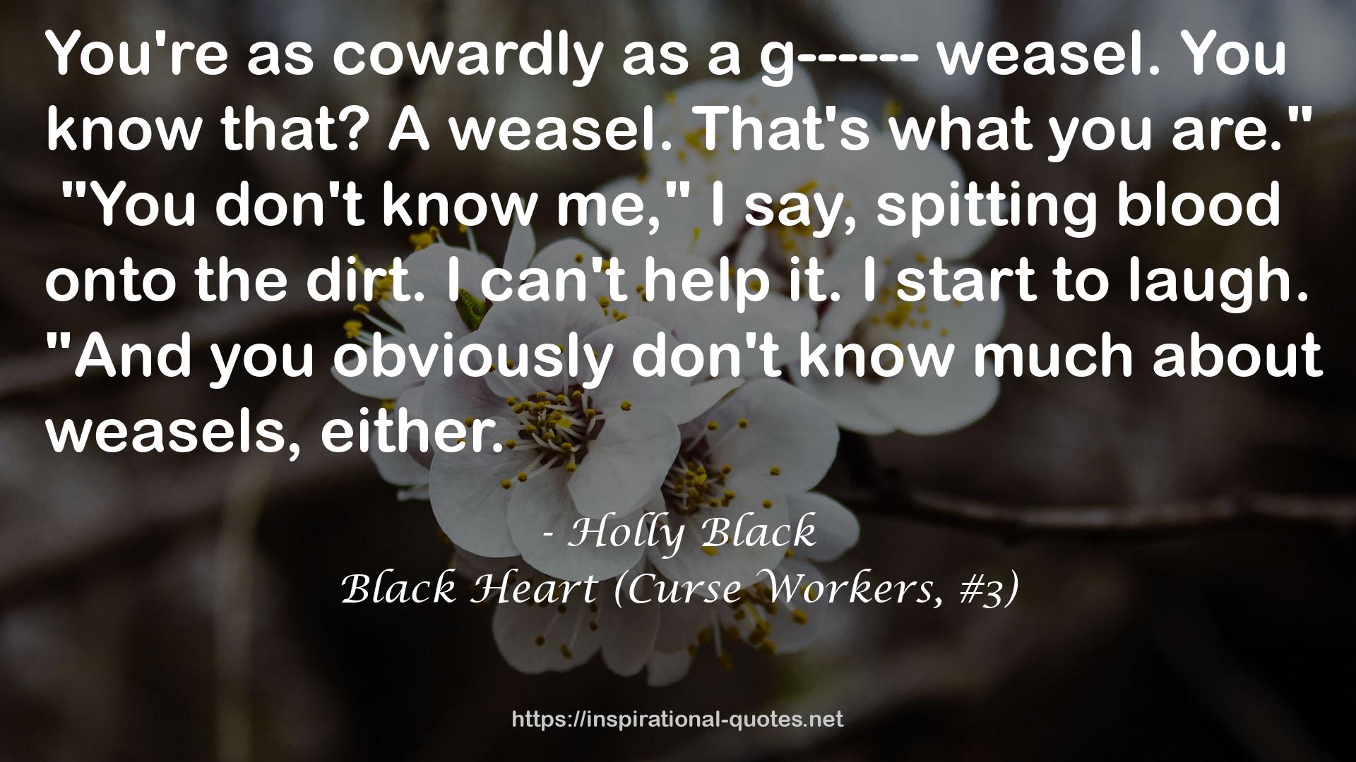 Black Heart (Curse Workers, #3) QUOTES