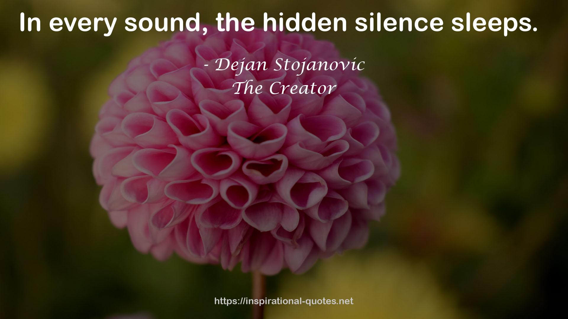 the hidden silence  QUOTES