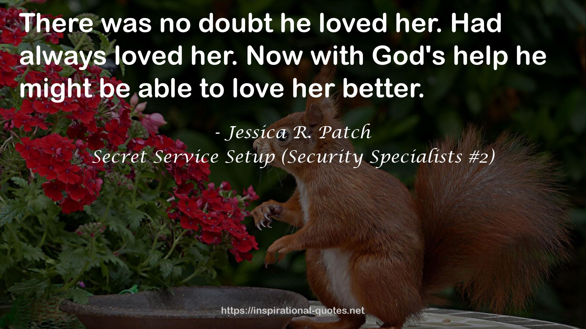 Secret Service Setup (Security Specialists #2) QUOTES