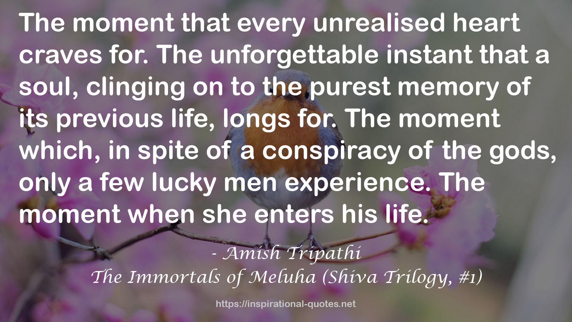 The Immortals of Meluha (Shiva Trilogy, #1) QUOTES