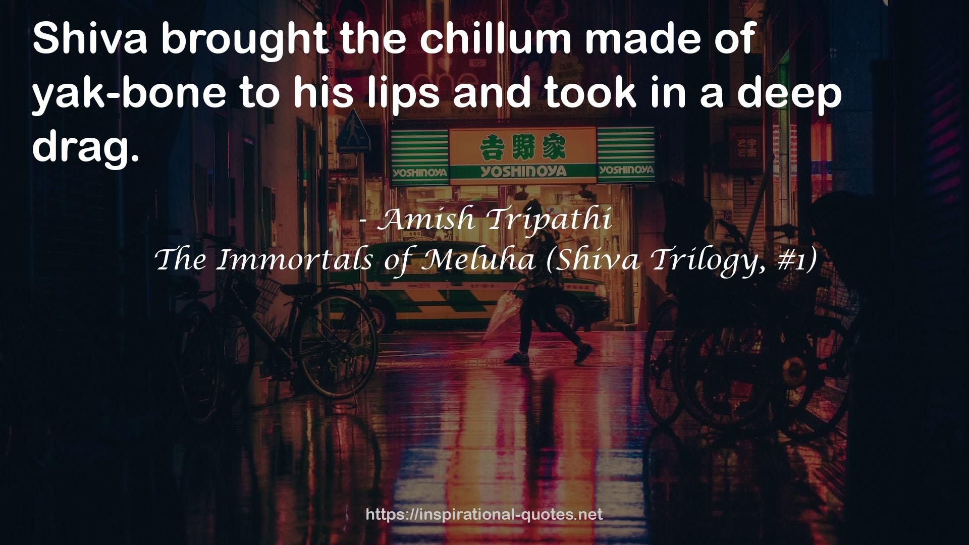 The Immortals of Meluha (Shiva Trilogy, #1) QUOTES