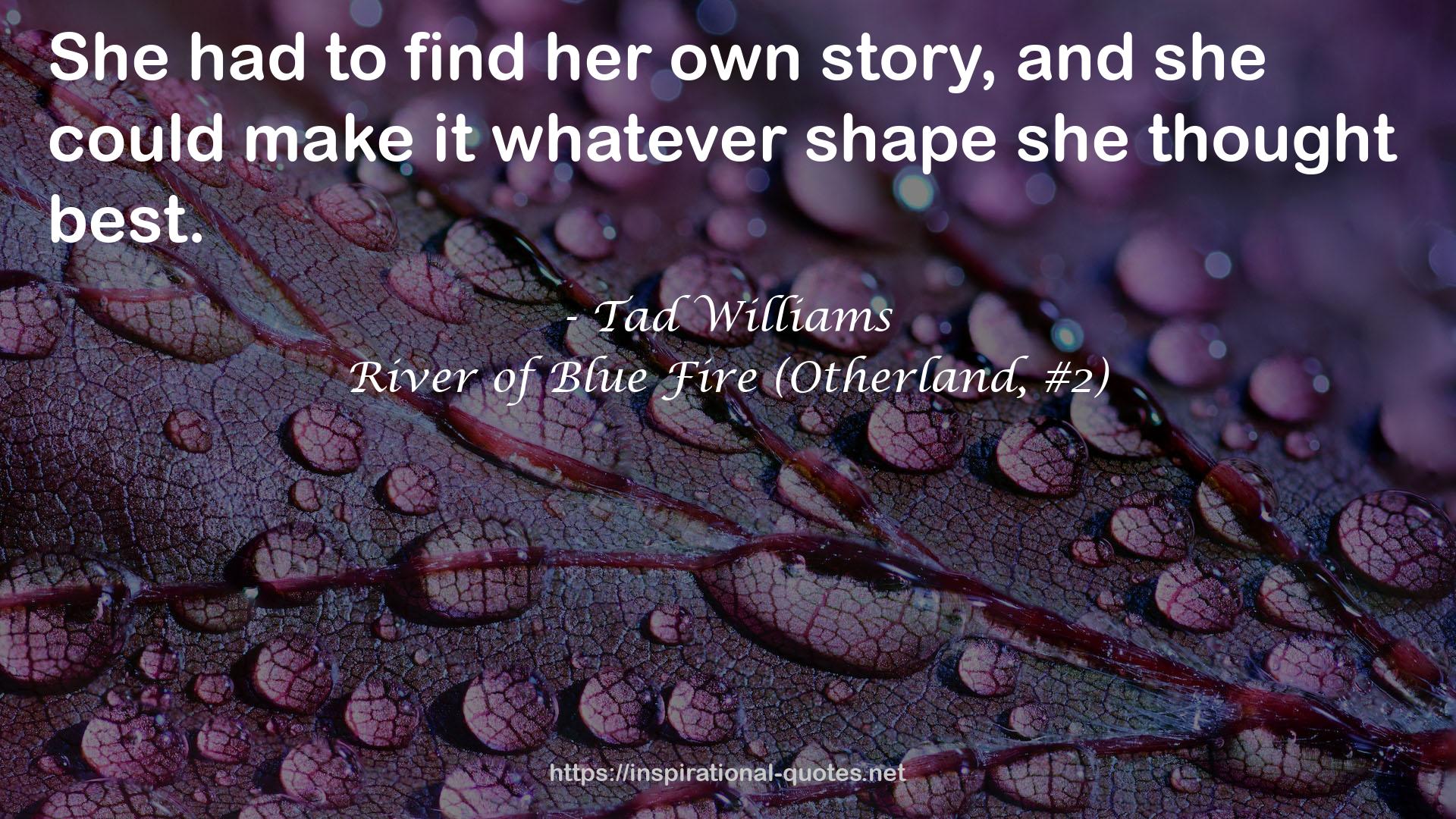 River of Blue Fire (Otherland, #2) QUOTES
