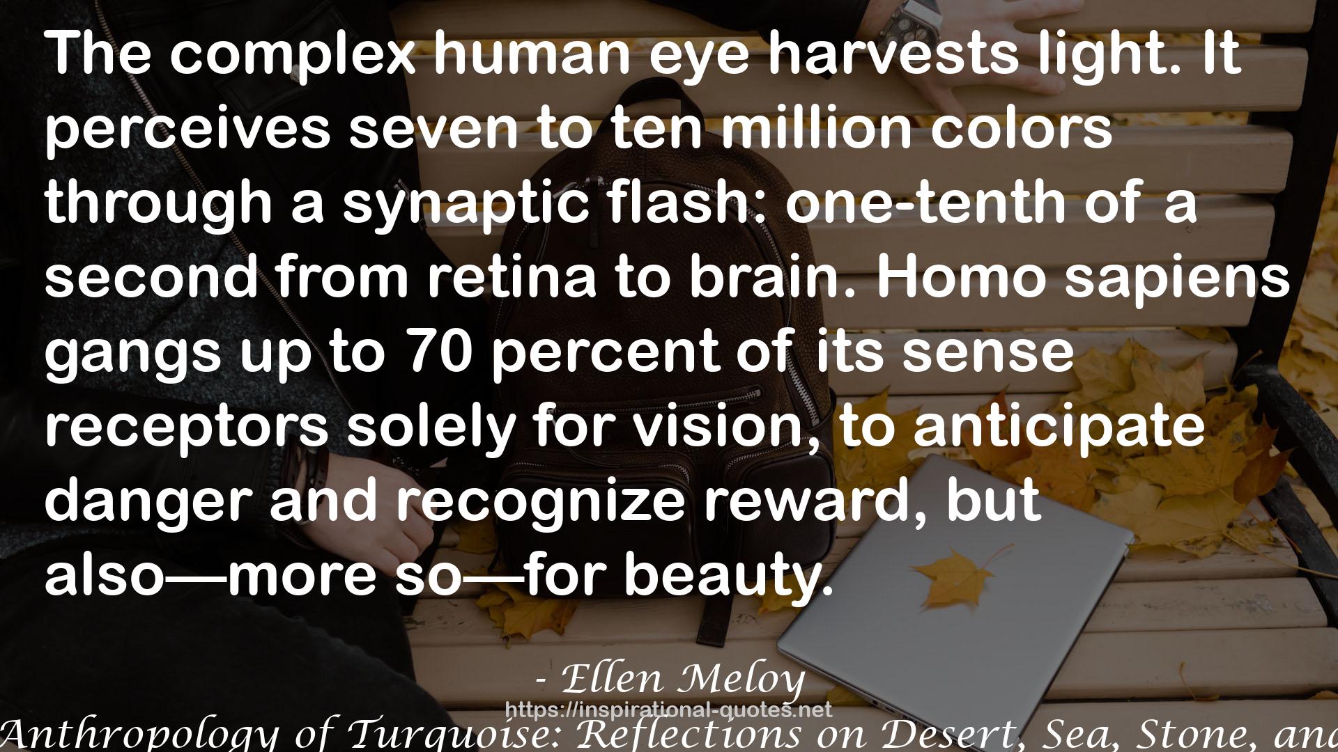 Ellen Meloy QUOTES