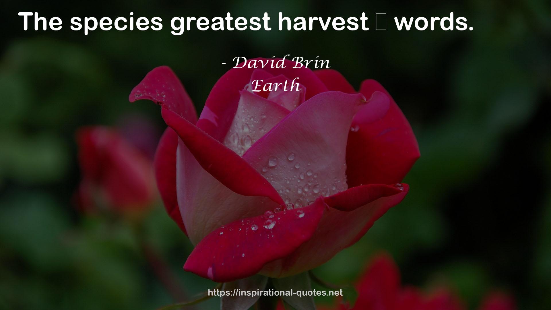 greatest harvest  QUOTES