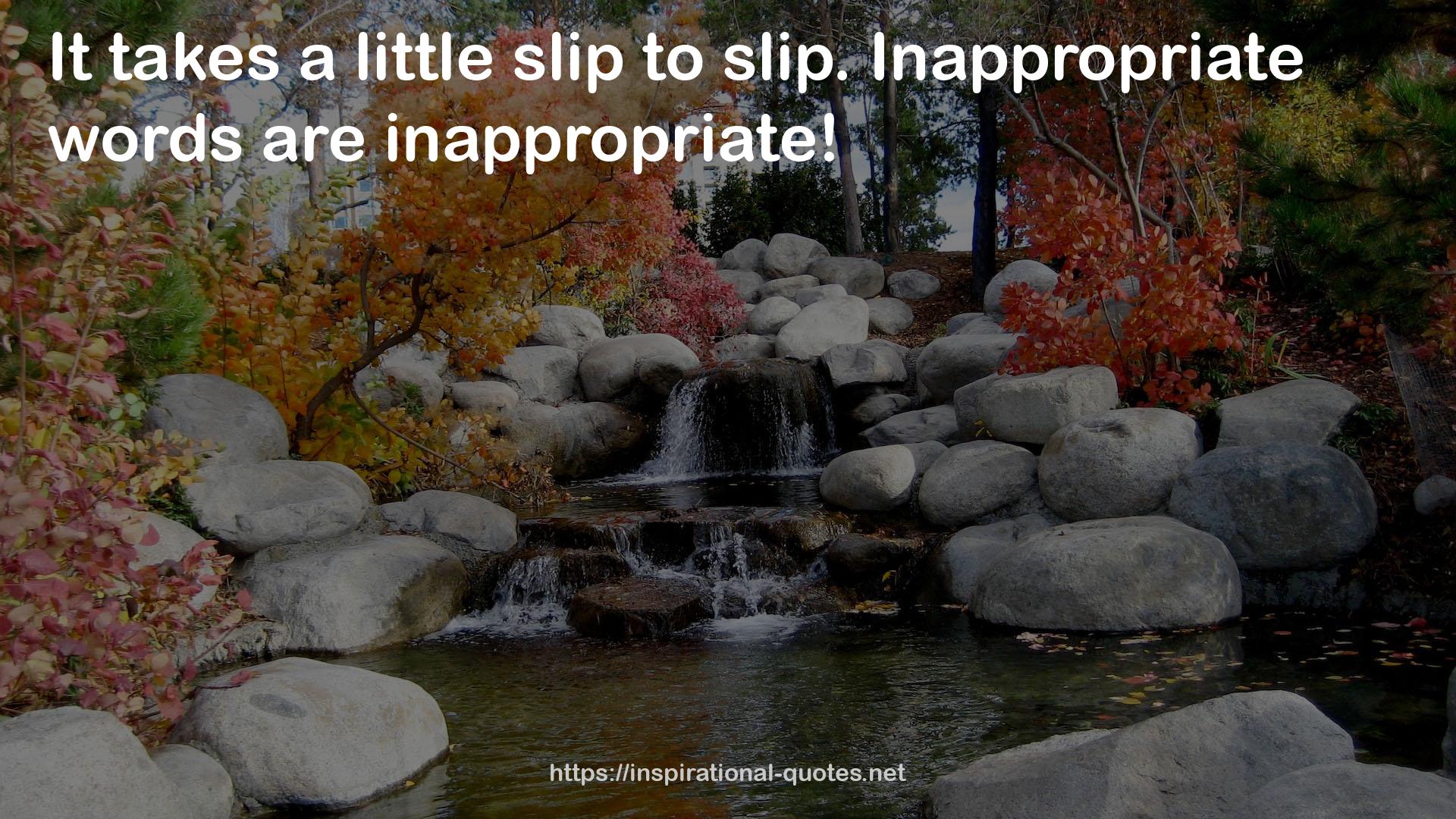 Inappropriate words  QUOTES