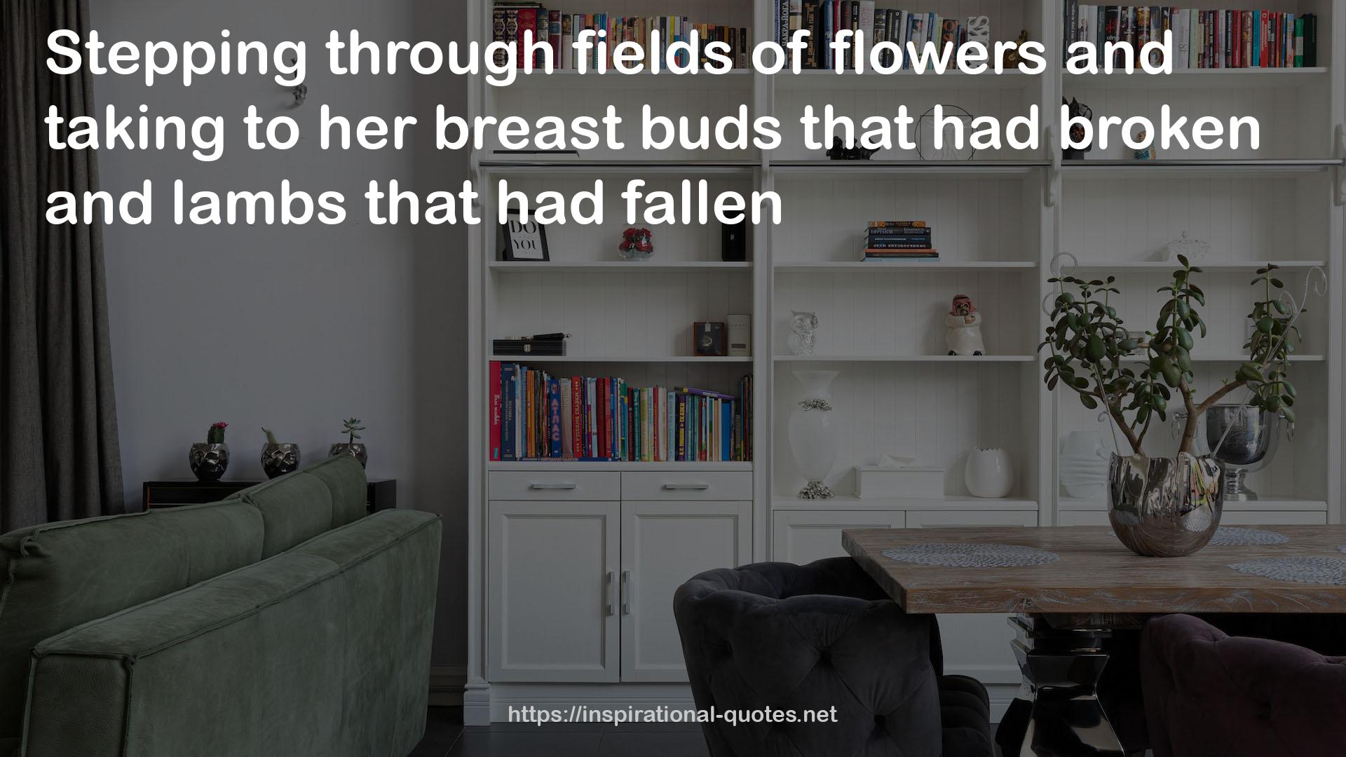 her breast buds  QUOTES