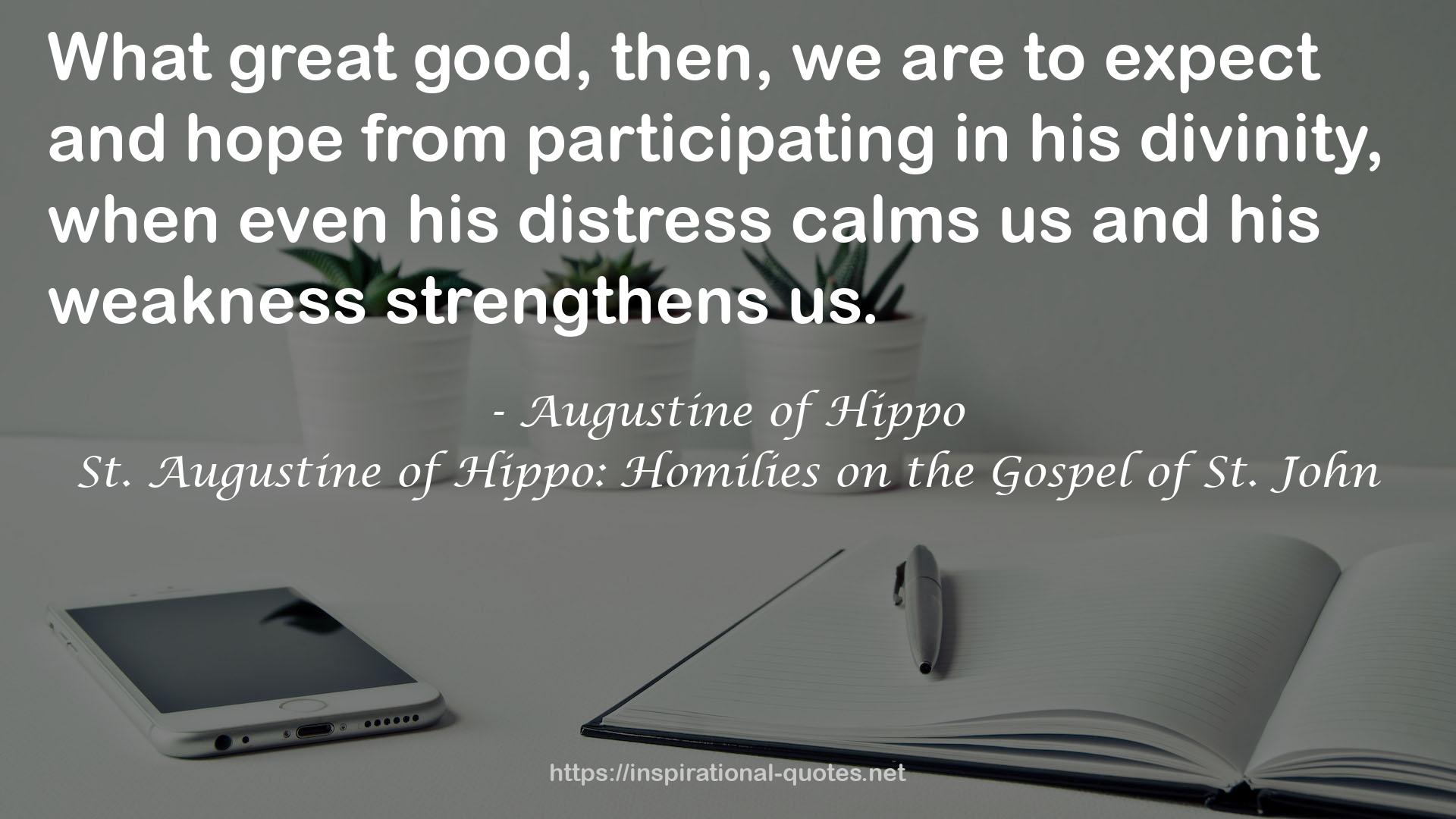 St. Augustine of Hippo: Homilies on the Gospel of St. John QUOTES