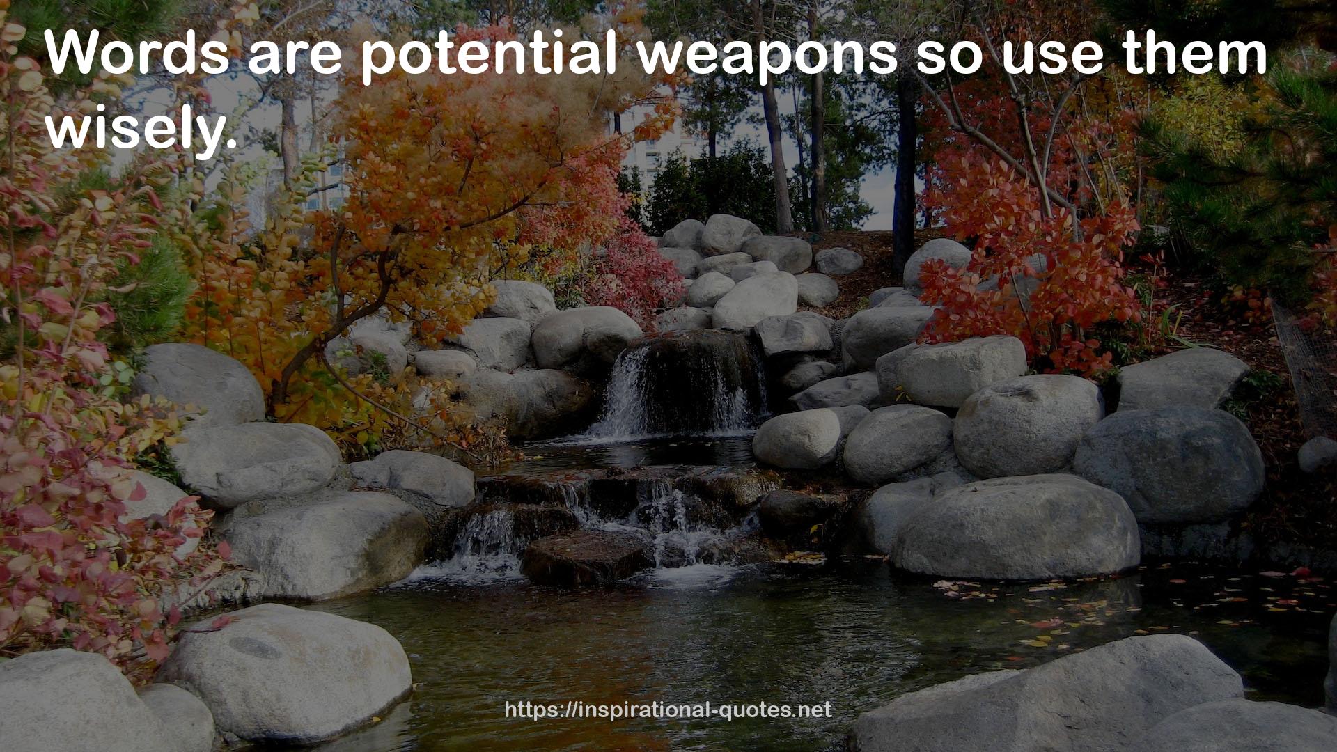 potential weapons  QUOTES