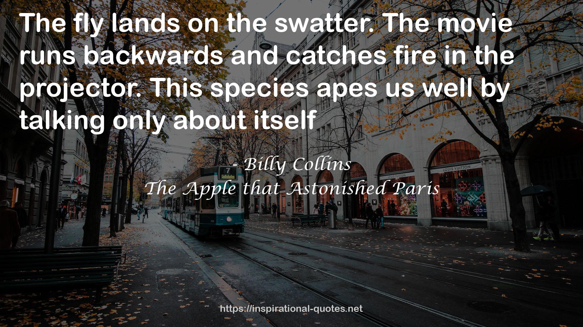 backwardsand catches fire  QUOTES