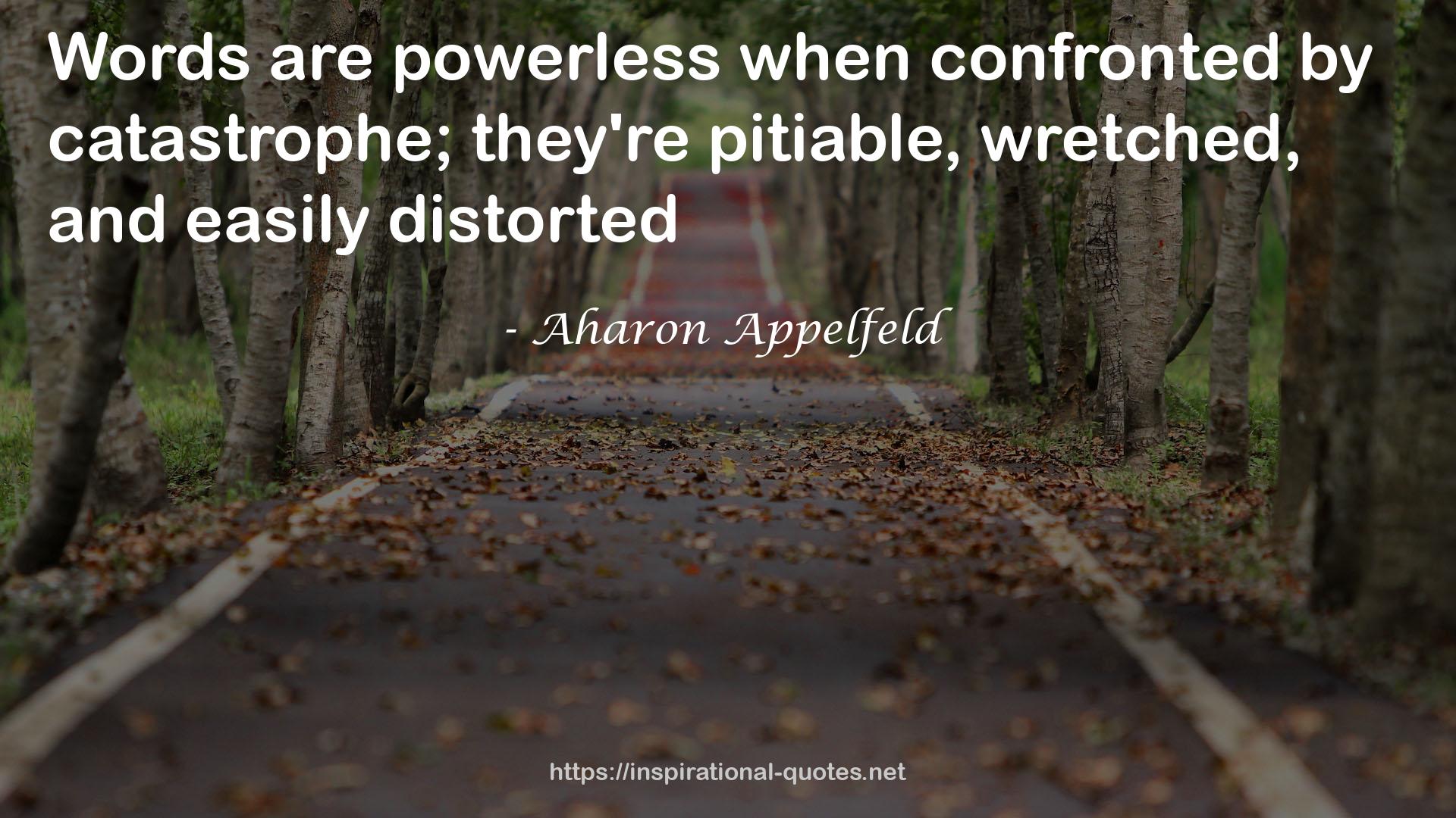 Aharon Appelfeld QUOTES