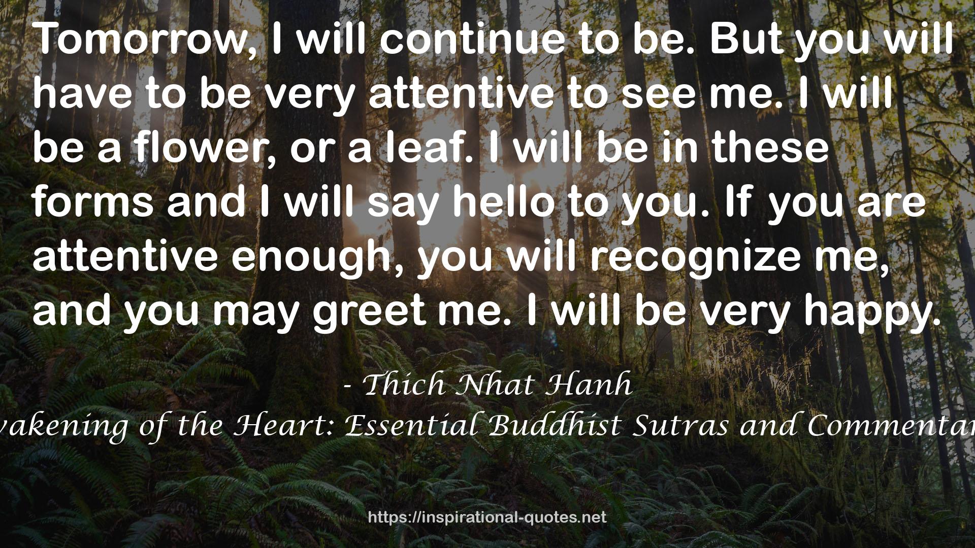 Awakening of the Heart: Essential Buddhist Sutras and Commentaries QUOTES