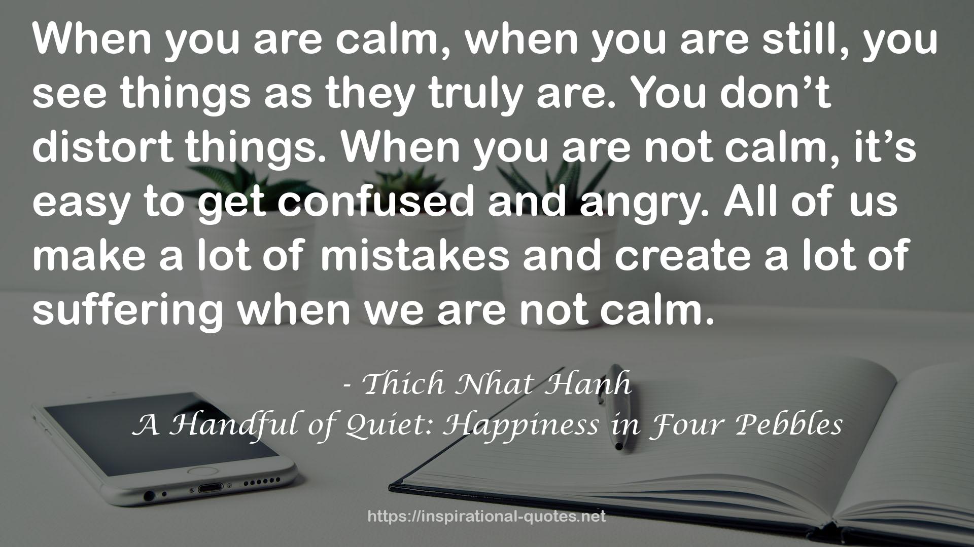 A Handful of Quiet: Happiness in Four Pebbles QUOTES