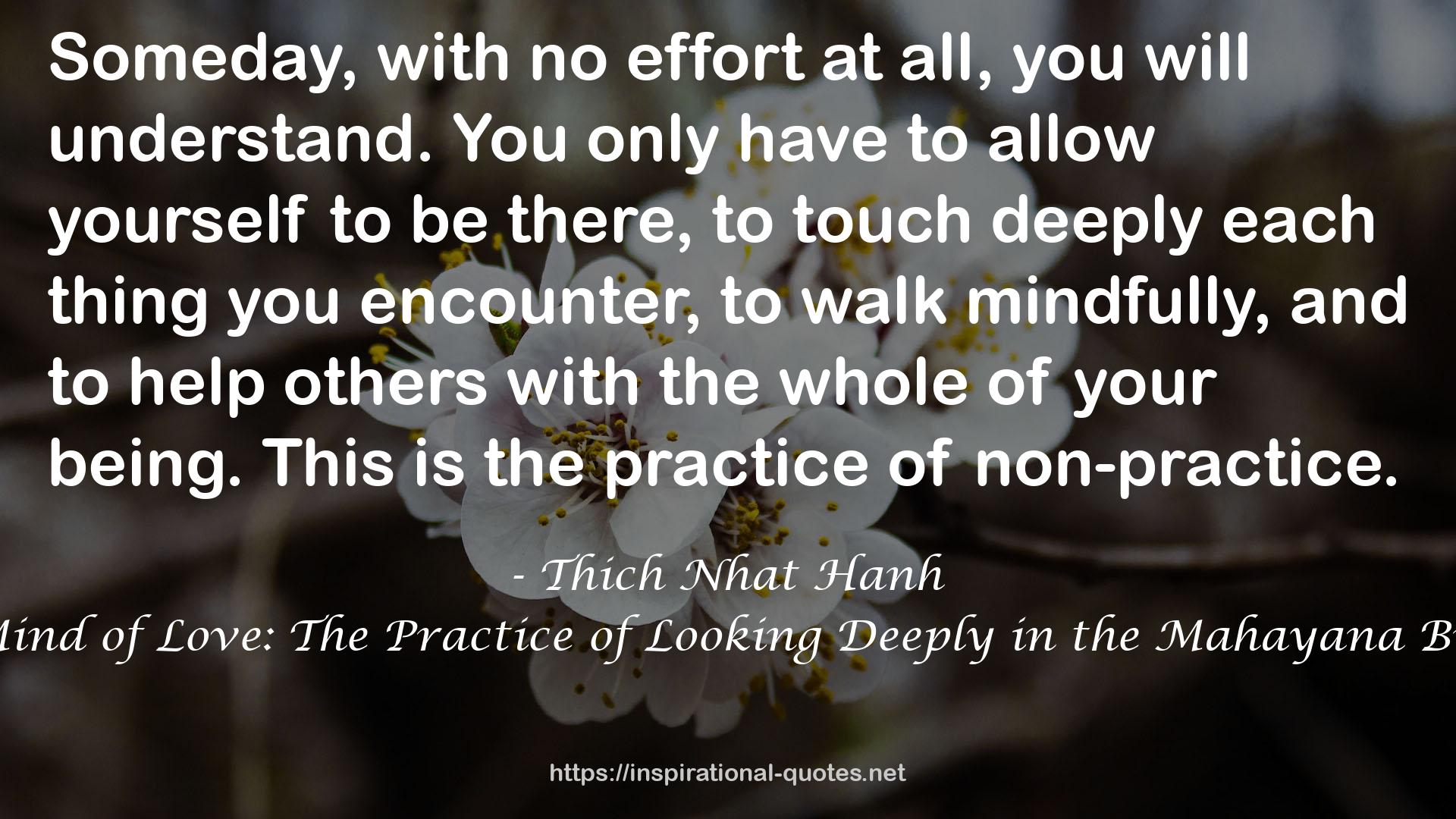 Cultivating the Mind of Love: The Practice of Looking Deeply in the Mahayana Buddhist Tradition QUOTES