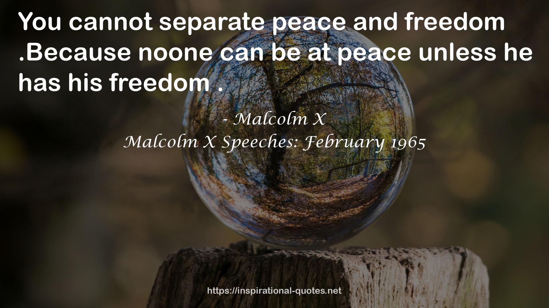 Malcolm X Speeches: February 1965 QUOTES