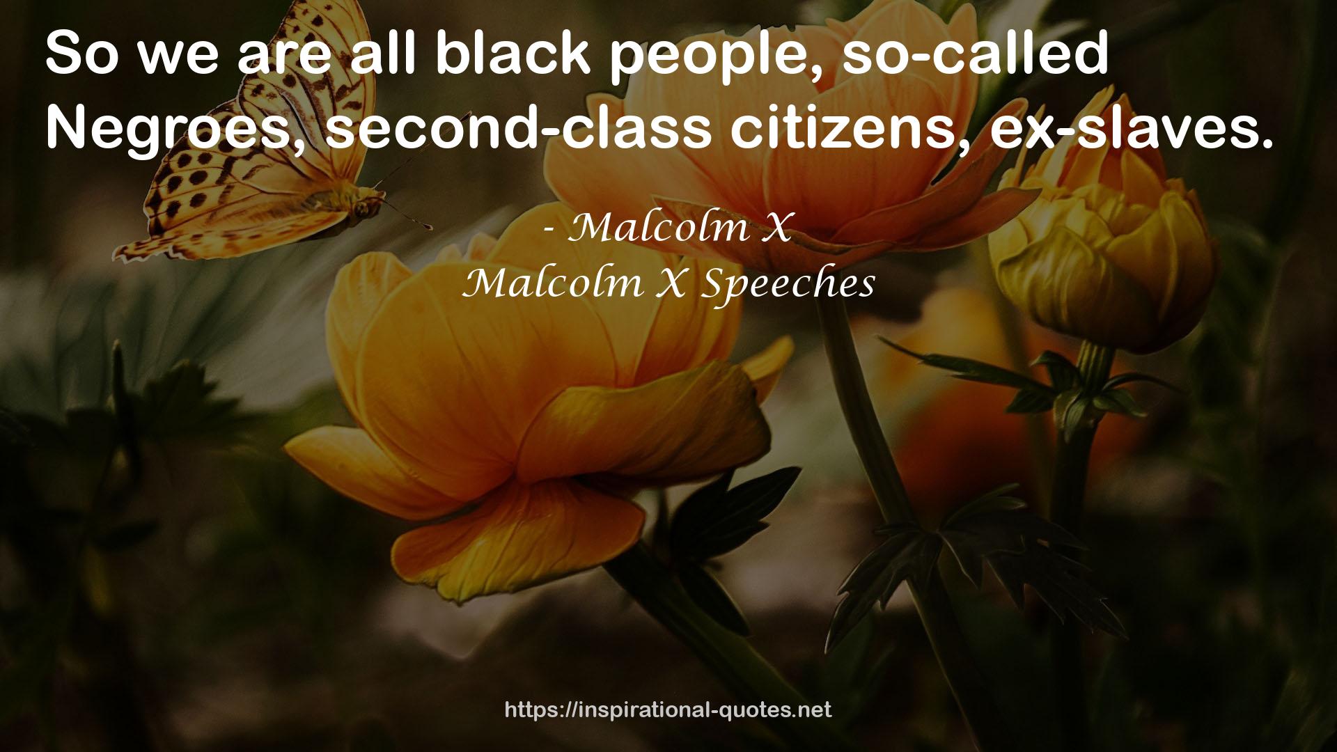 Malcolm X Speeches QUOTES