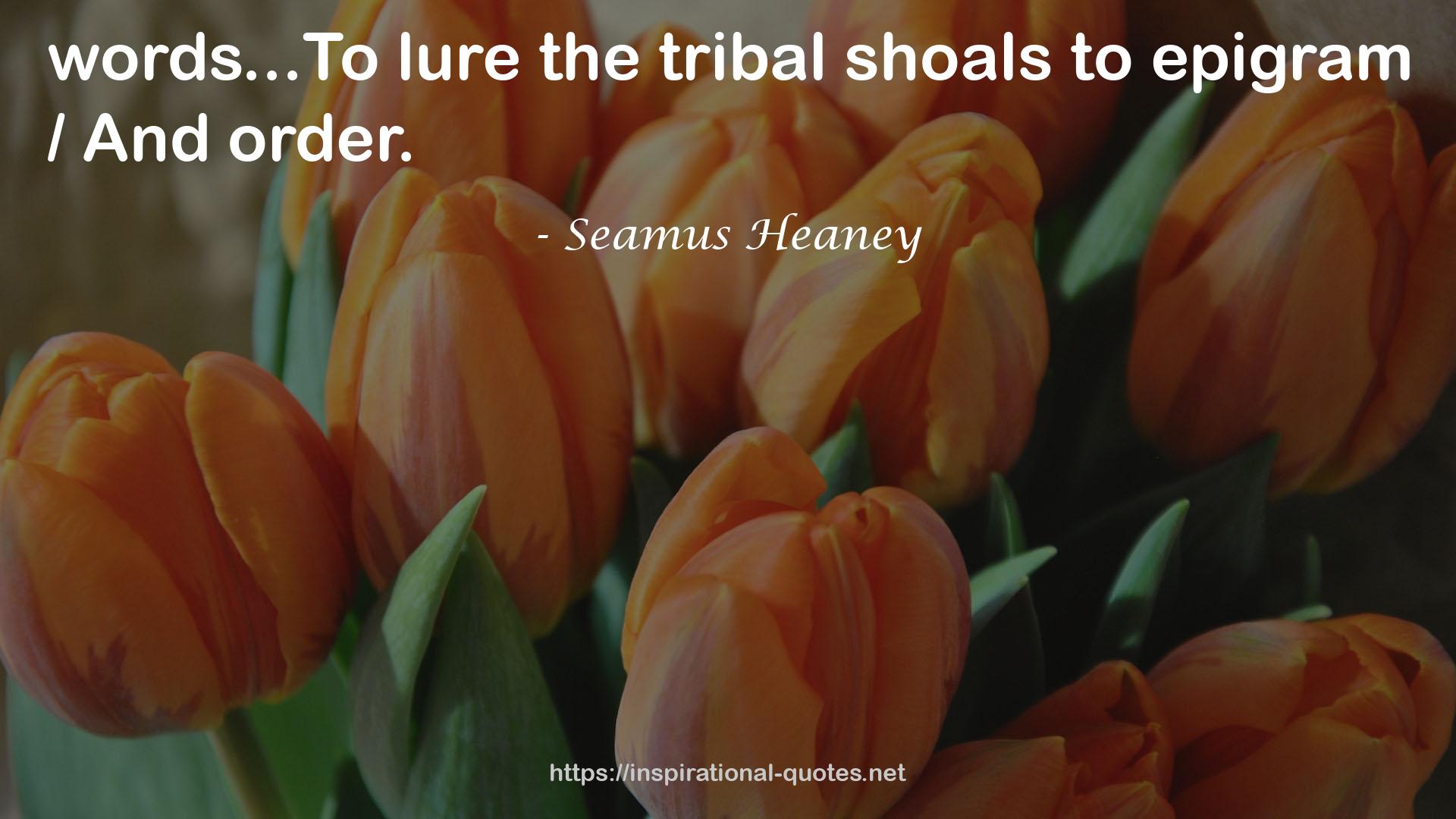 the tribal shoals  QUOTES