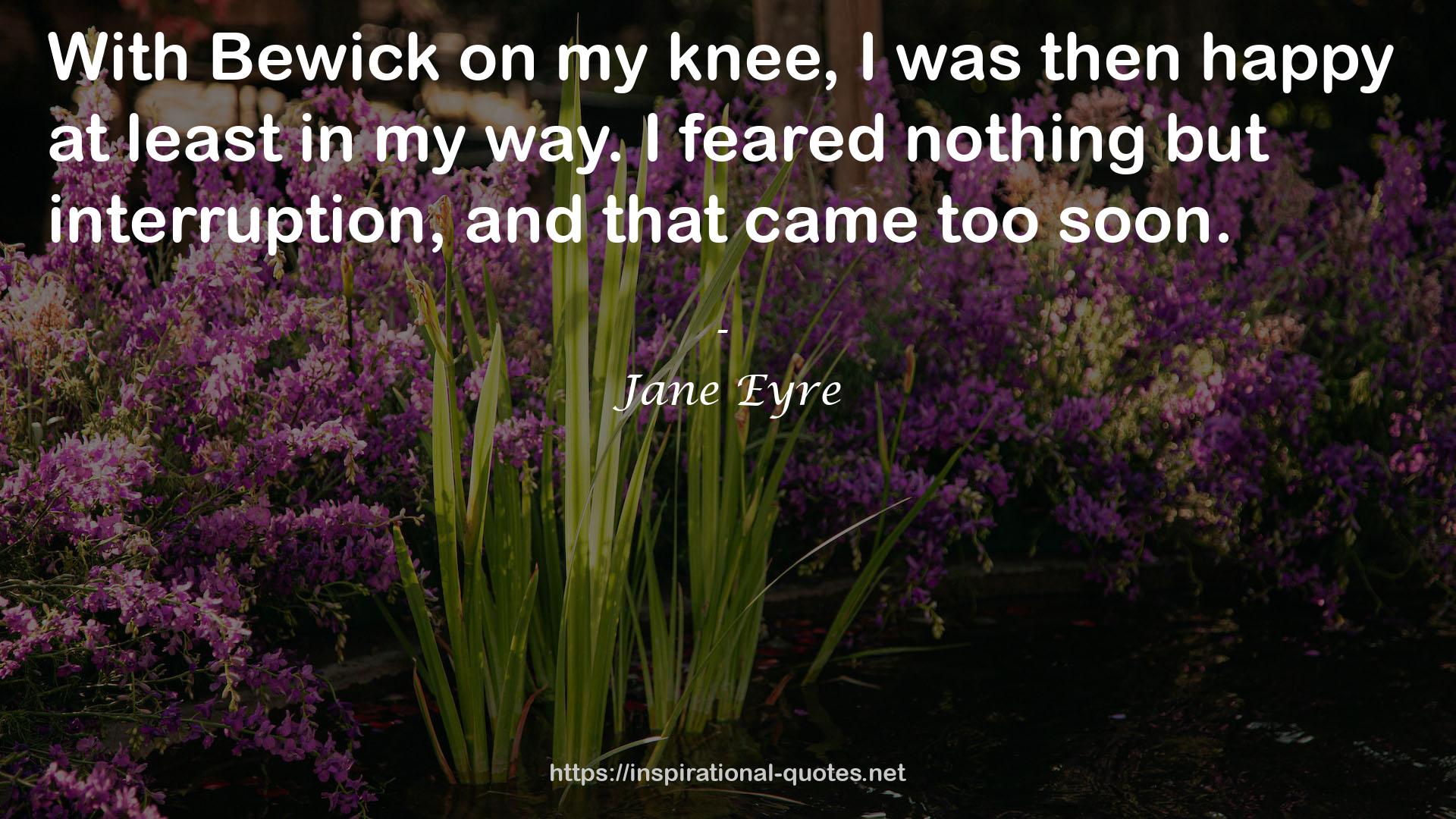 Jane Eyre QUOTES