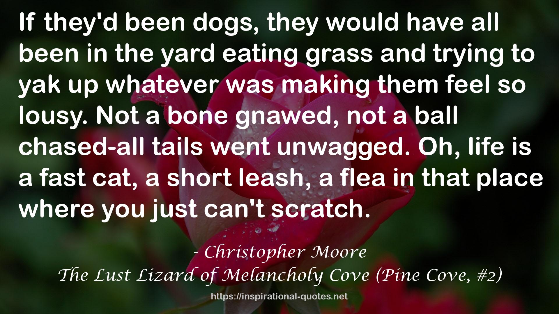 the yard eating grass  QUOTES