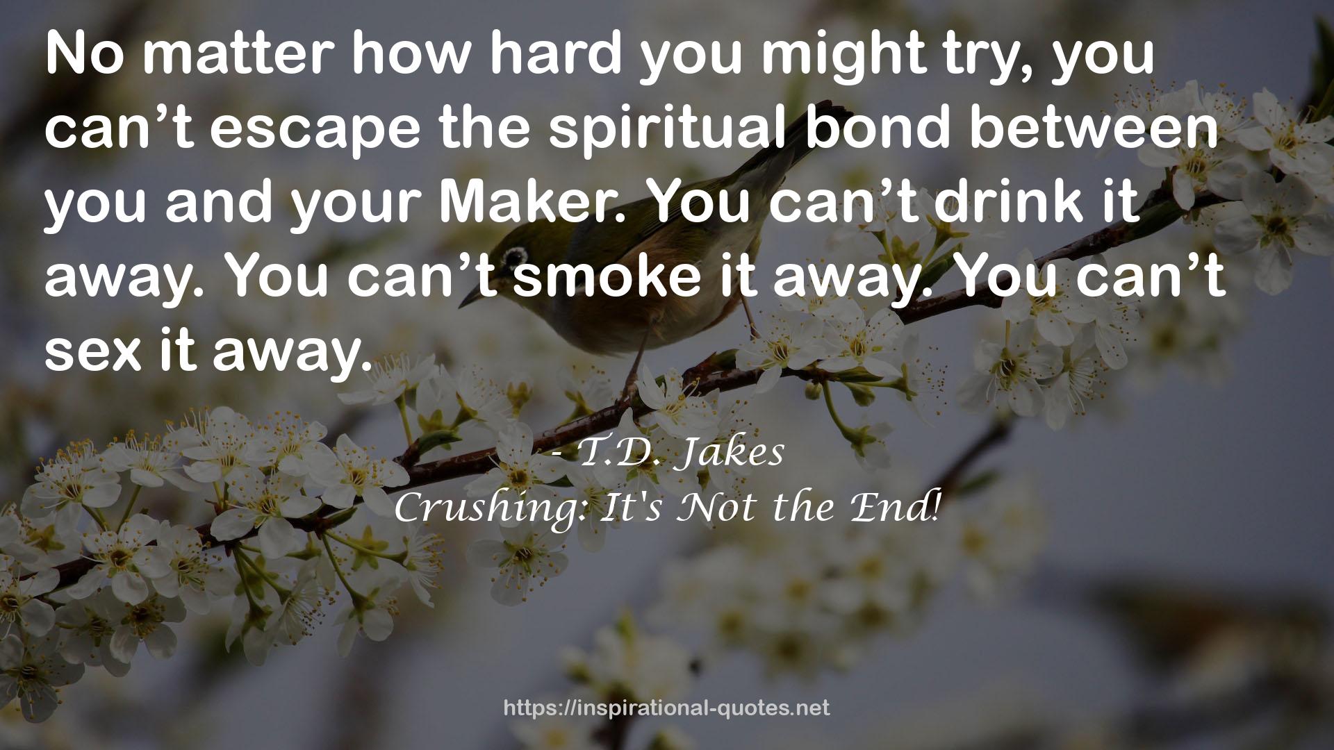 Crushing: It's Not the End! QUOTES