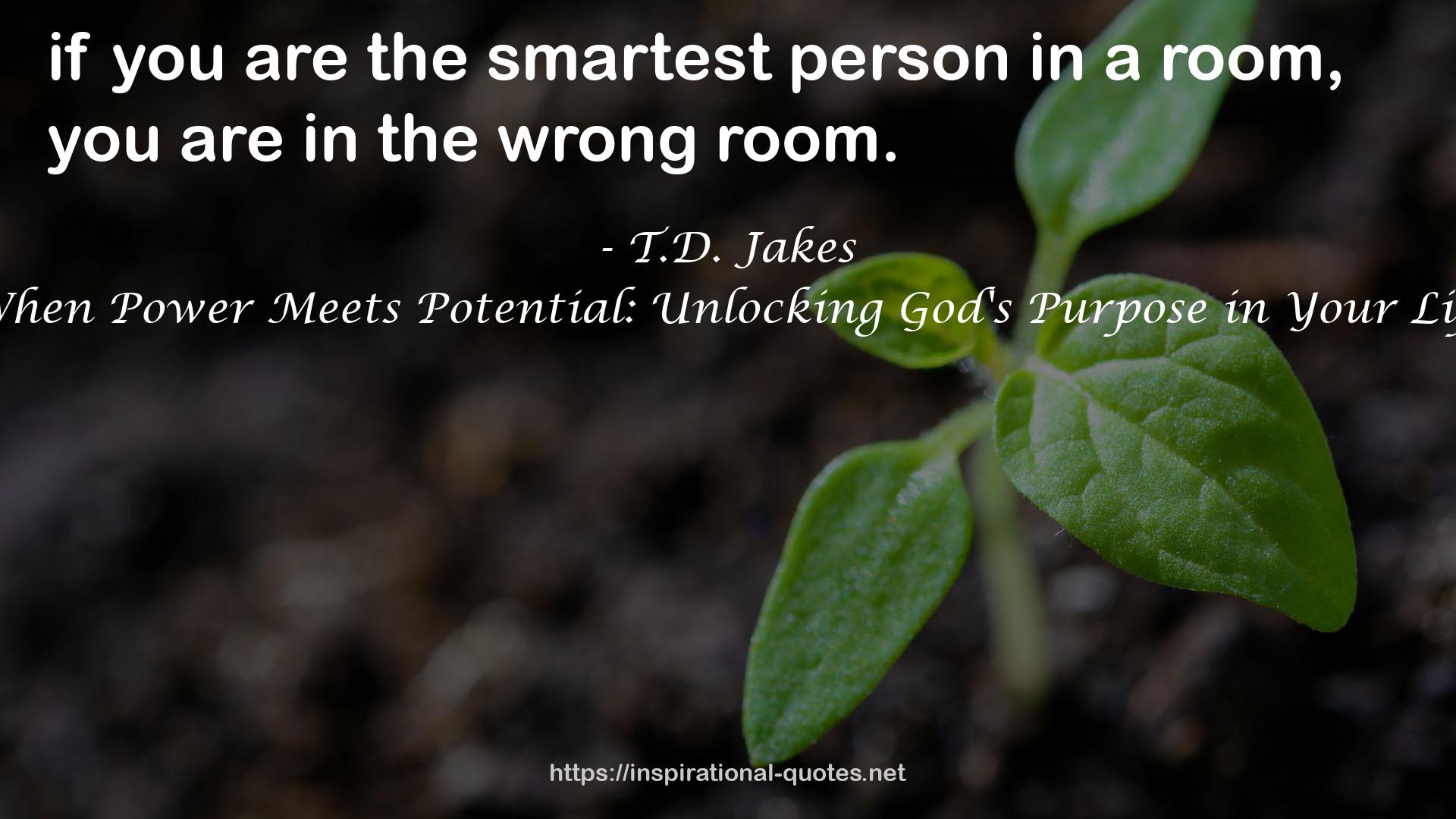When Power Meets Potential: Unlocking God's Purpose in Your Life QUOTES