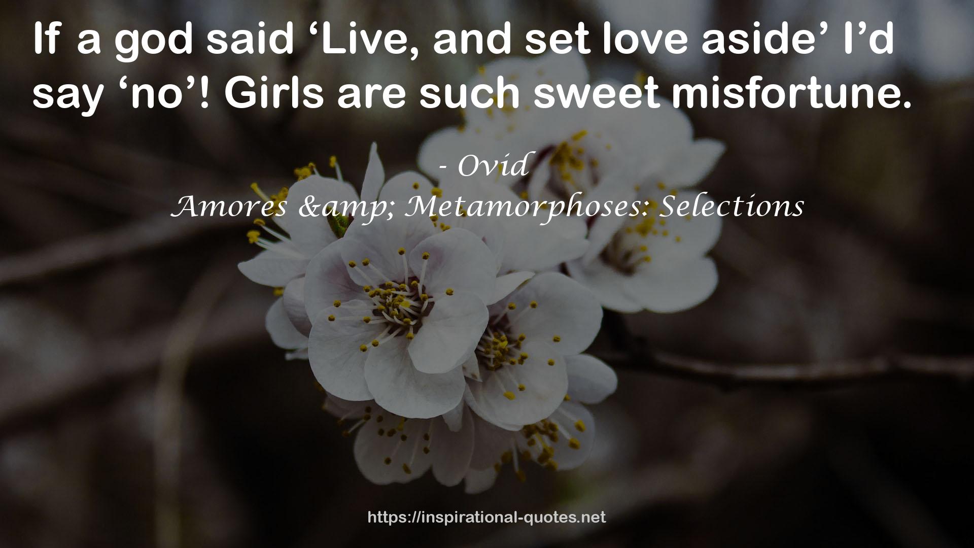 Amores & Metamorphoses: Selections QUOTES