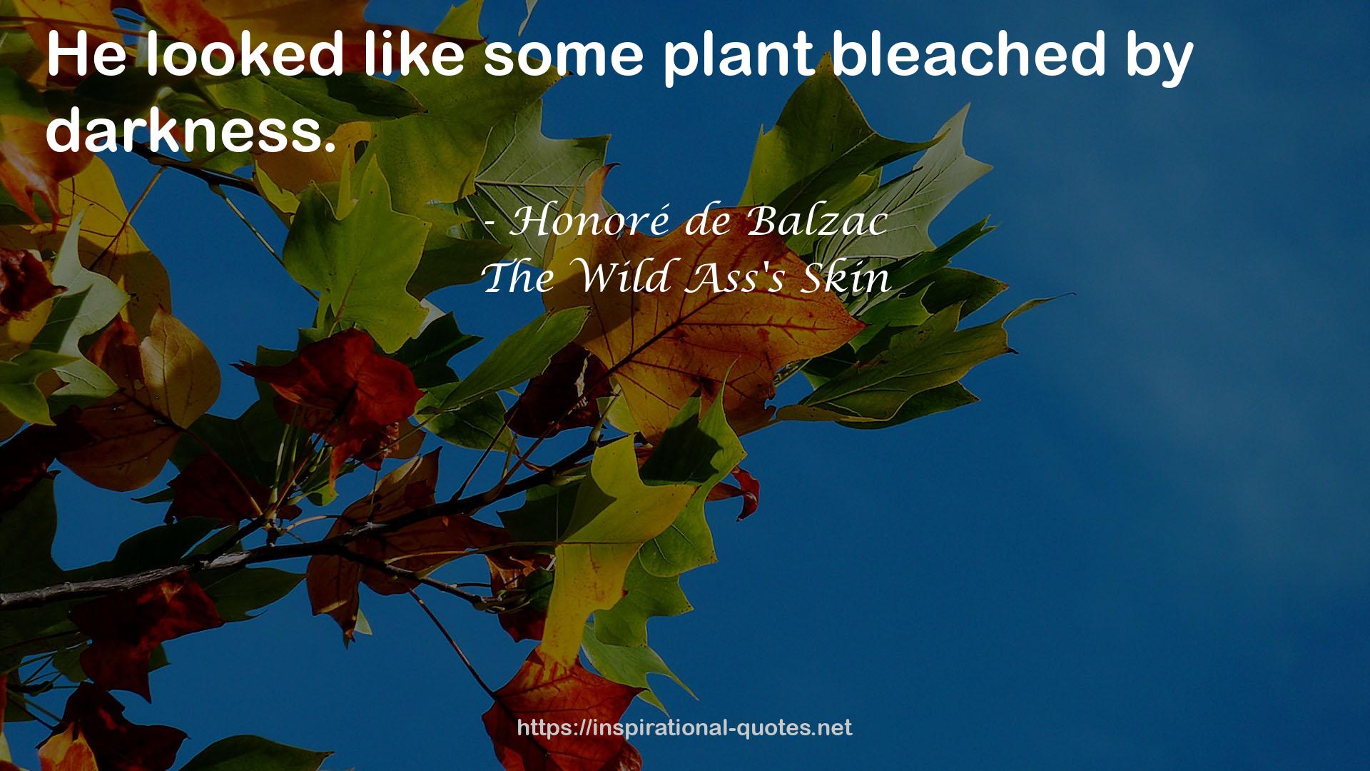 Some plant  QUOTES