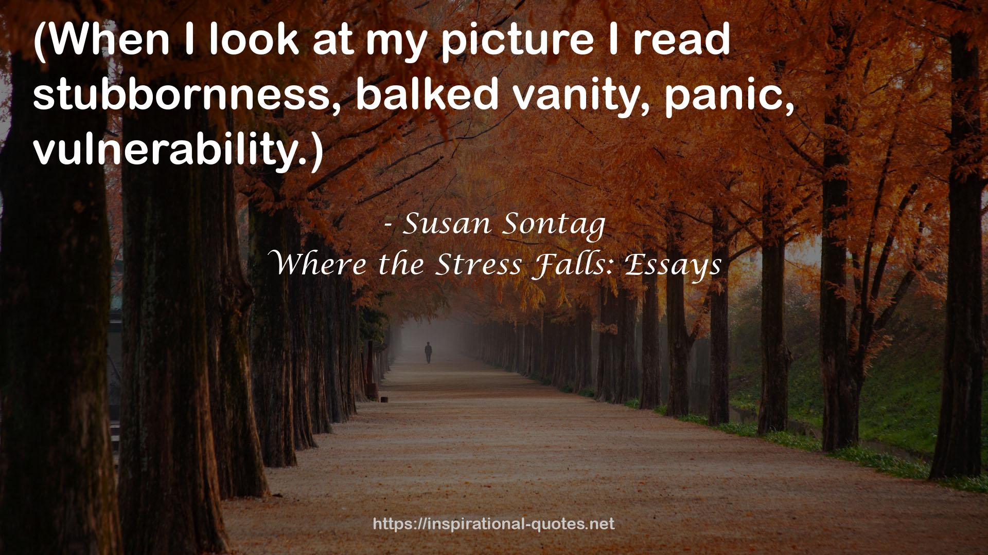 Where the Stress Falls: Essays QUOTES