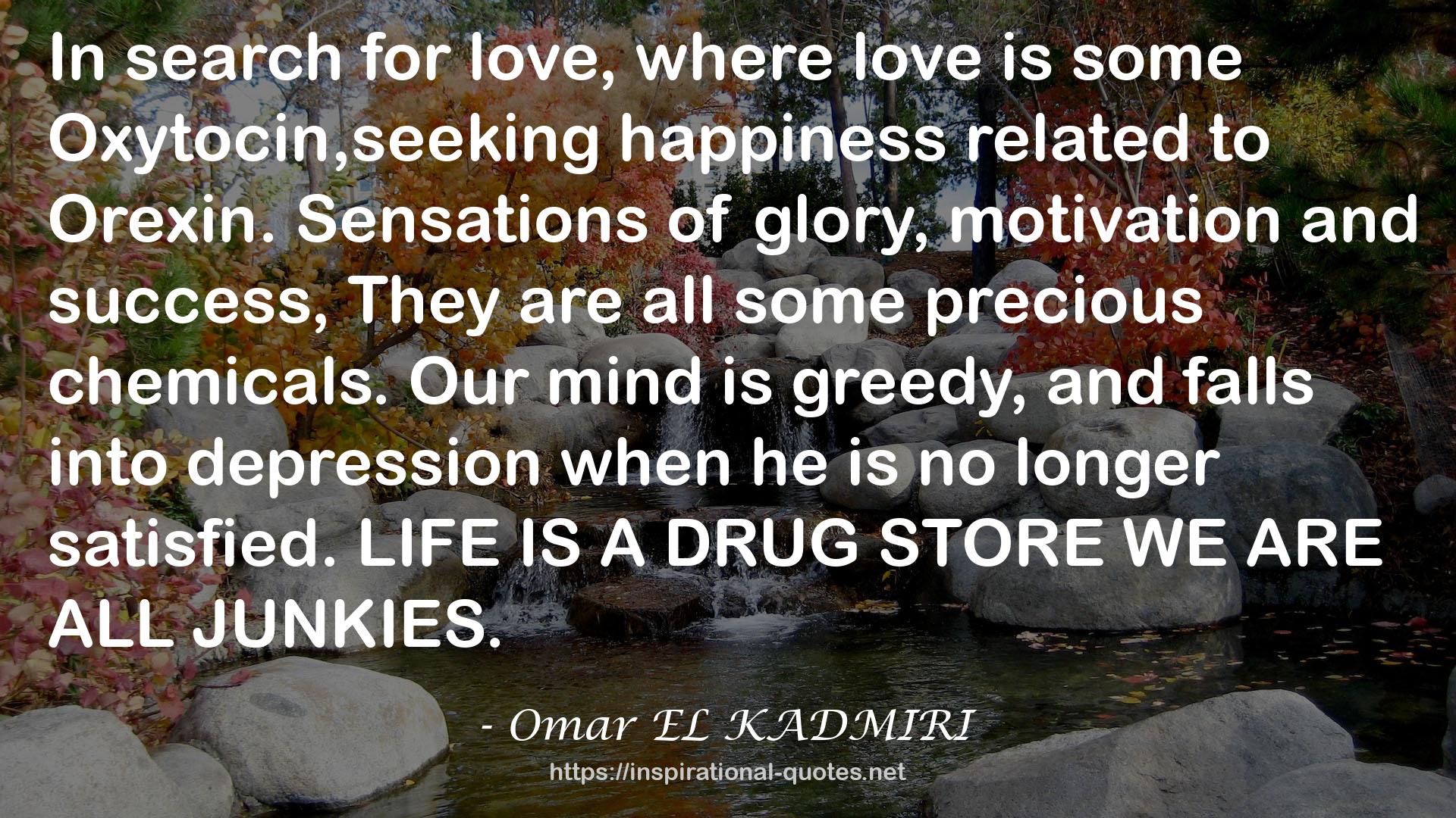 Omar EL KADMIRI QUOTES