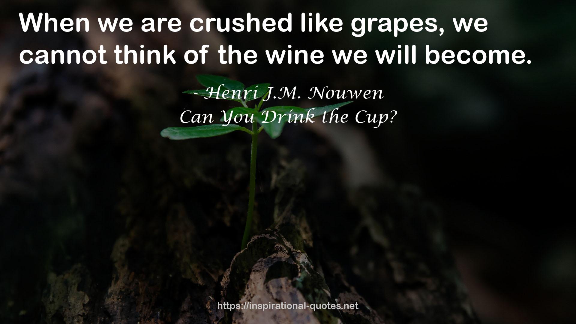 Can You Drink the Cup? QUOTES