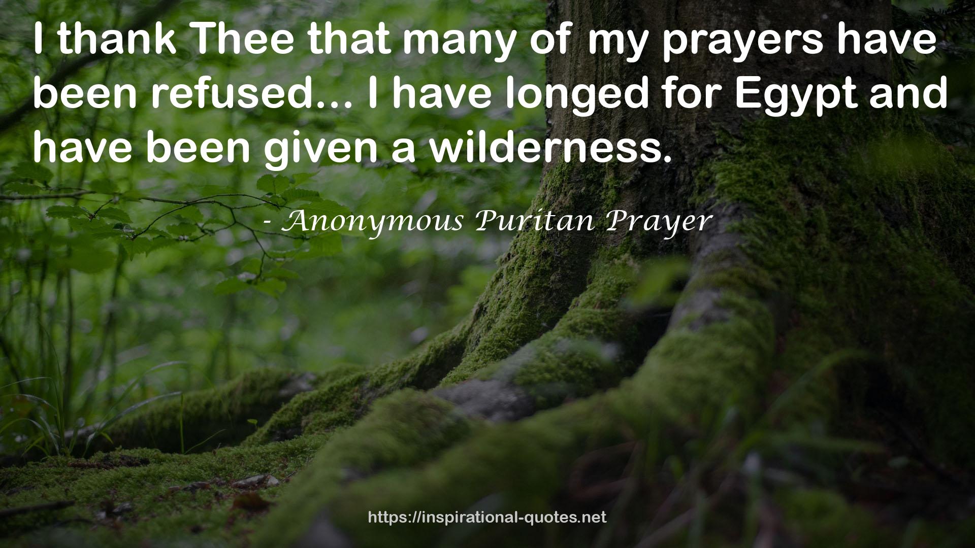 Anonymous Puritan Prayer QUOTES