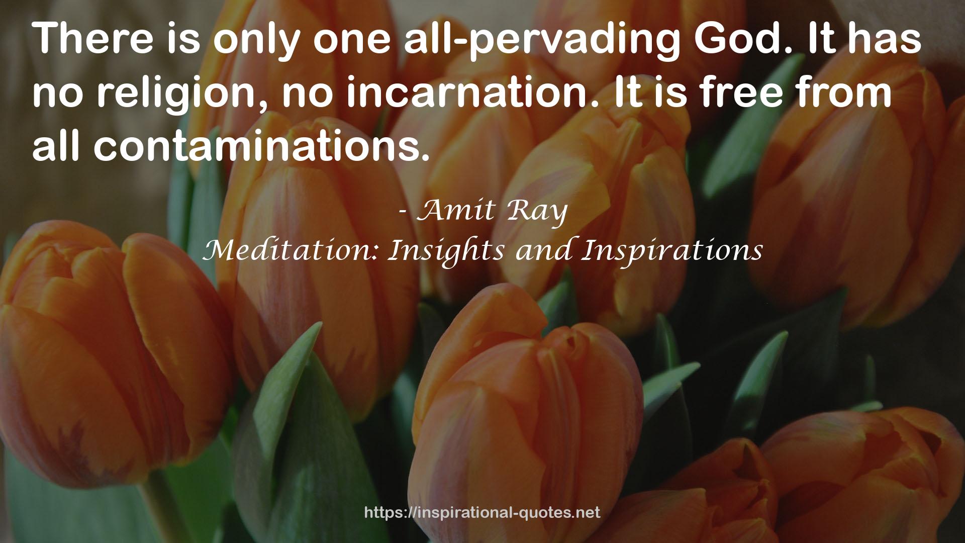 no incarnation  QUOTES