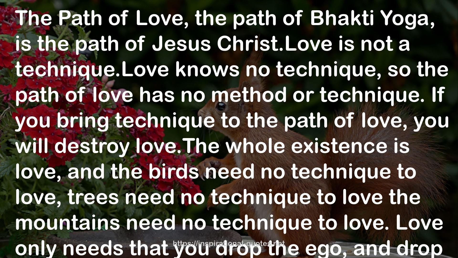 The Path of Love  QUOTES