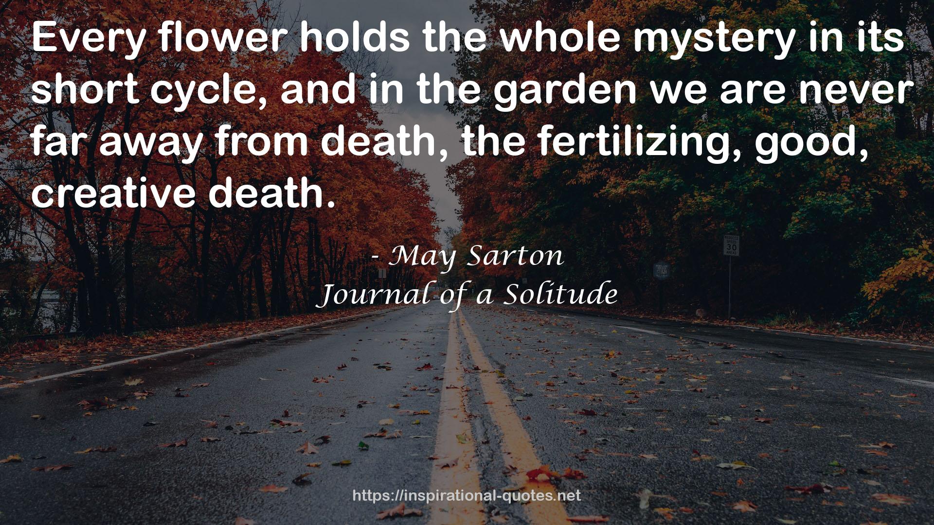 May Sarton QUOTES