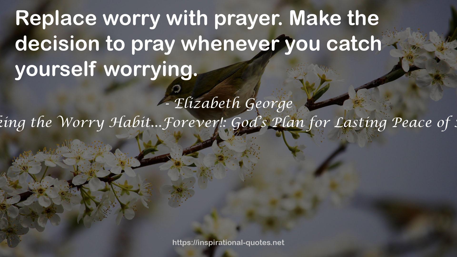 Breaking the Worry Habit...Forever!: God’s Plan for Lasting Peace of Mind QUOTES