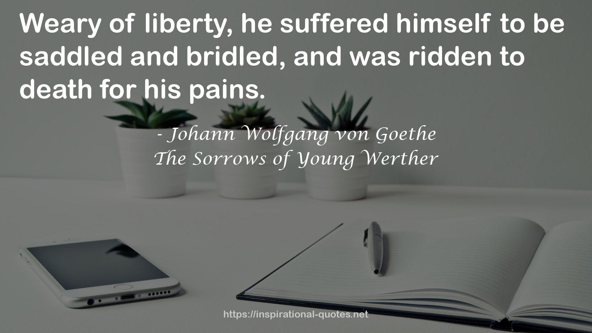The Sorrows of Young Werther QUOTES