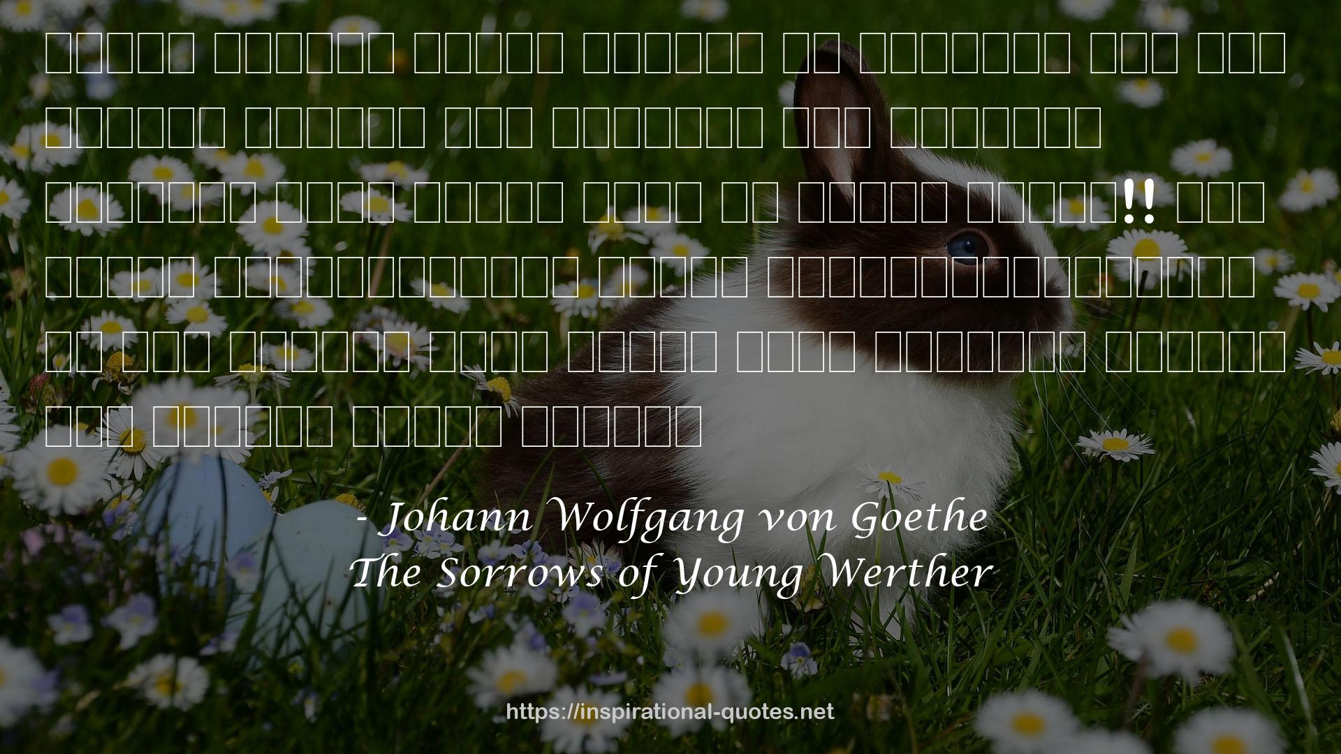 The Sorrows of Young Werther QUOTES