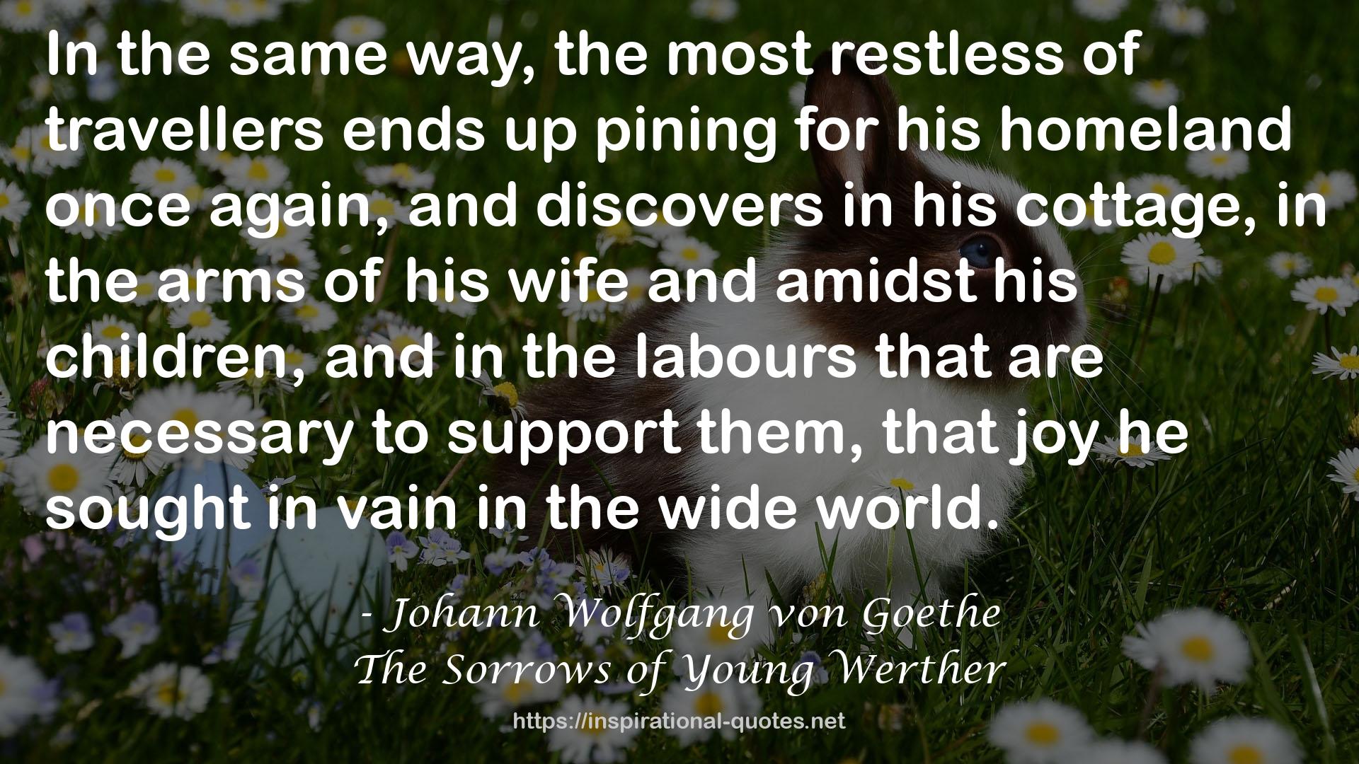 The Sorrows of Young Werther QUOTES