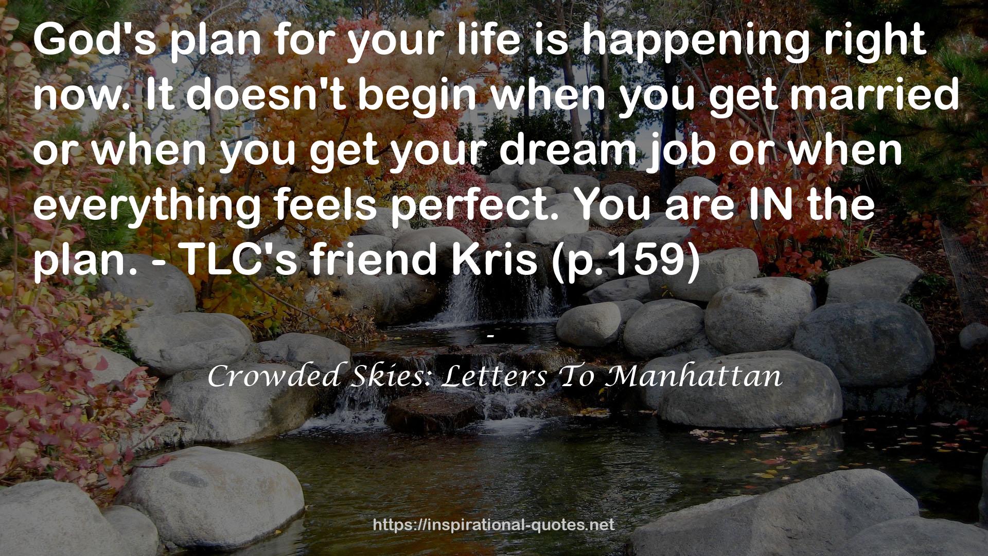 Crowded Skies: Letters To Manhattan QUOTES