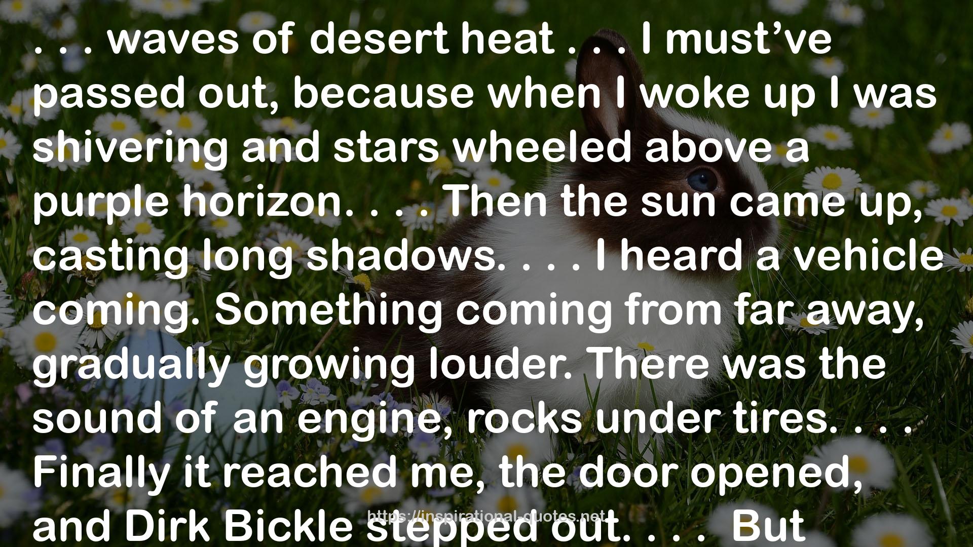Dirk Bickle  QUOTES