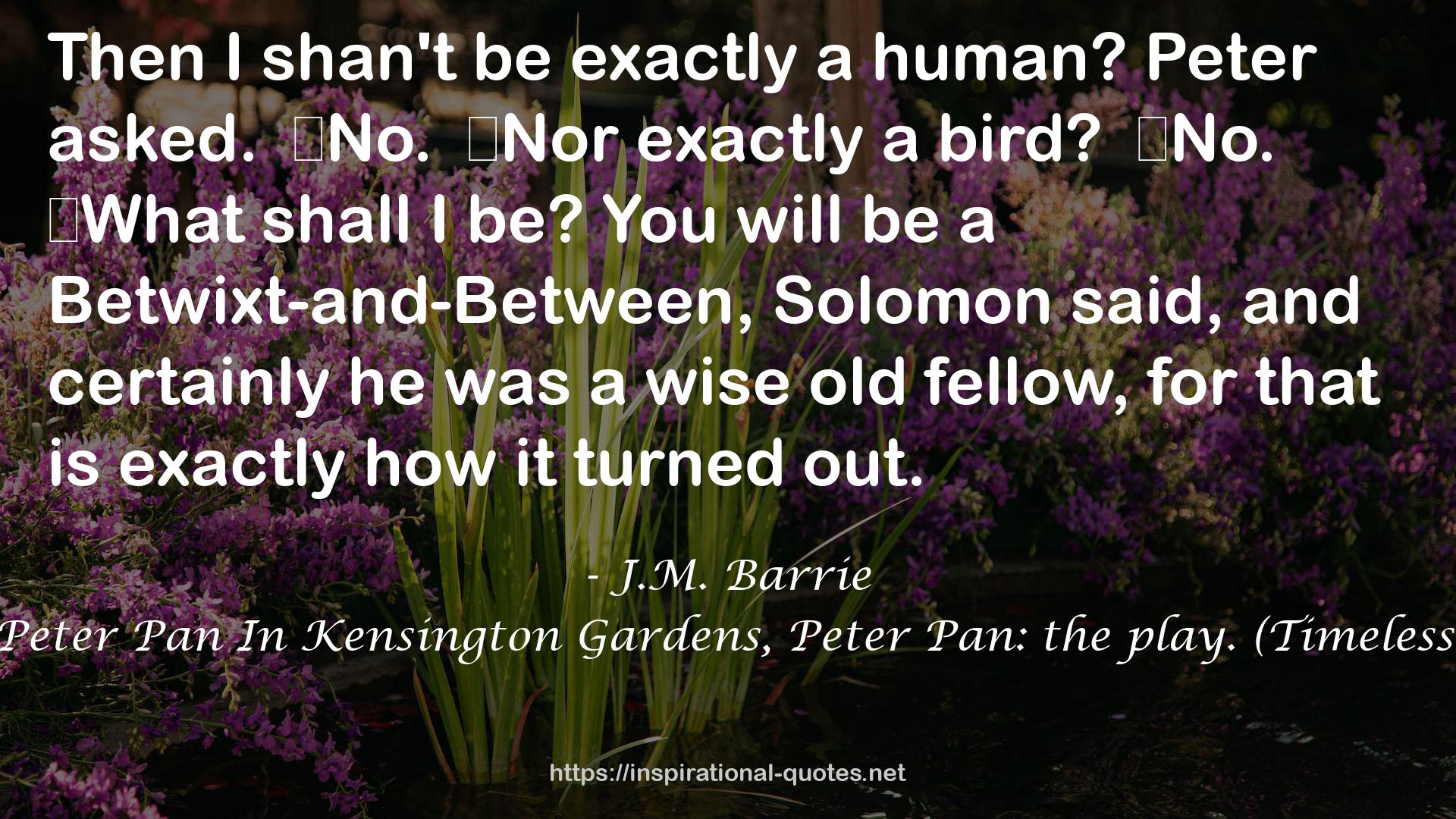 Peter And Wendy, Peter Pan In Kensington Gardens, Peter Pan: the play. (Timeless Wisdom Collection) QUOTES