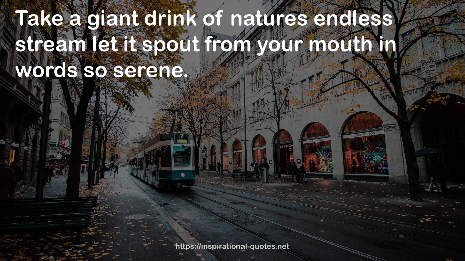 natures endless stream  QUOTES